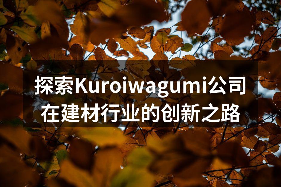 Kuroiwagumi新型环保建材展示